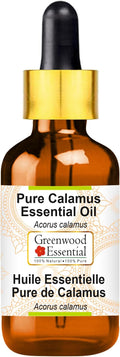 Greenwood Essential Pure Calamus Essential Oil (Acorus Calamus) with Glass Dropper Steam Distilled 15ml (0.50 oz)