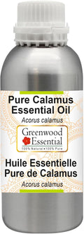 Greenwood Essential Pure Calamus Essential Oil (Acorus Calamus) Steam Distilled 300ml (10.1 oz)