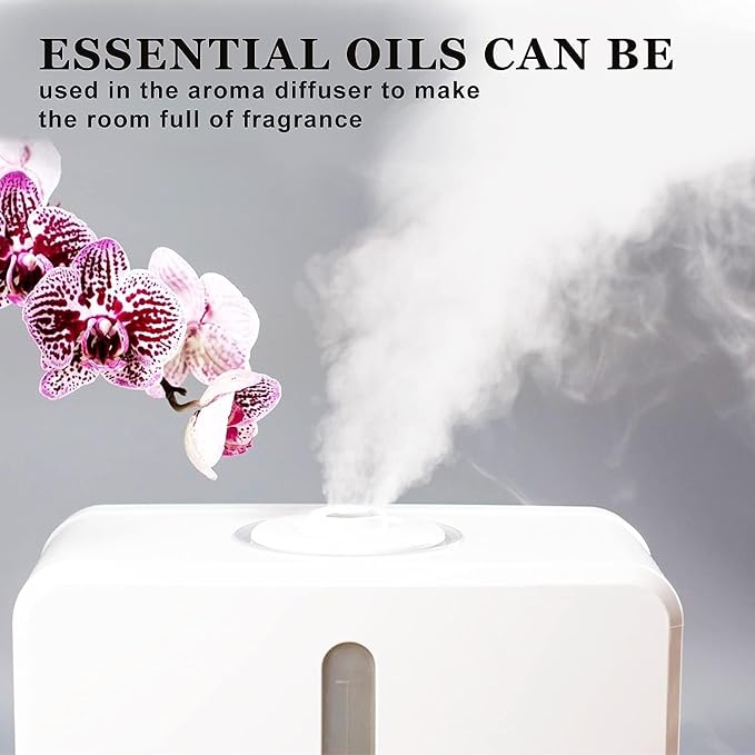 Basil Essential Oil, Basil Oil for Diffuser Humidifier Yoga Cleaning DIY Candle Soap Making Essential Oils 2 Pack x10ml