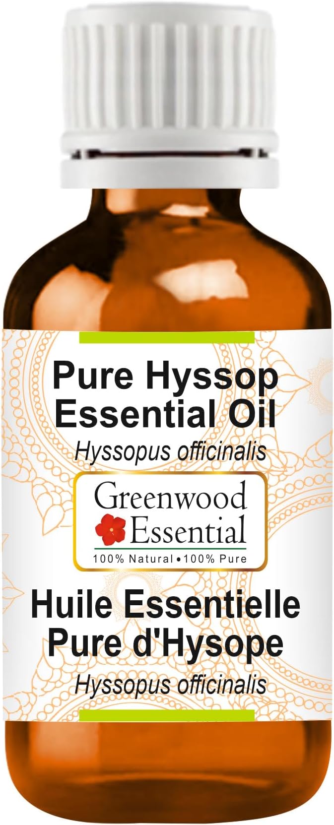 Greenwood Essential Pure Hyssop Essential Oil (Hyssopus officinalis) Steam Distilled 100ml (3.38 oz)