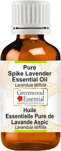 Greenwood Essential Spike Lavender Essential Oil (Lavandula latifolia) Pure | Non-Sticky | Non-Greasy | Lightweight | Men & Women | All Skin Types | Steam Distilled 15ml (0.50 oz)