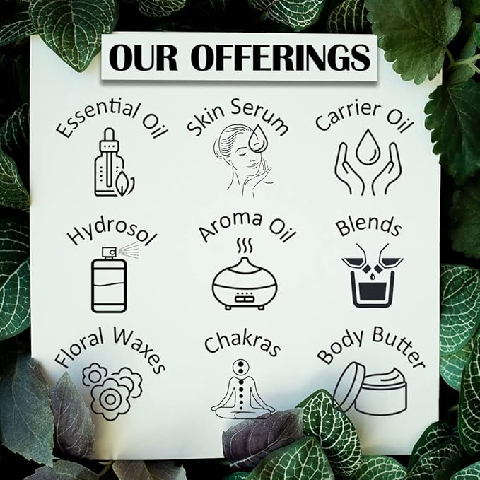 Greenwood Essential Pure Cardamom Essential Oil (Elettaria cardamomum) with Glass Dropper Steam Distilled 50ml (1.69 oz)
