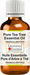 Greenwood Essential Tea Tree Essential Oil (Melaleuca alternifolia) Pure | Non-Sticky | Non-Greasy | Lightweight | Men & Women | All Skin Types | Steam Distilled 30ml (1 oz)