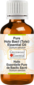 Greenwood Essential Pure Holy Basil Essential Oil (Ocimum Sanctum) Steam Distilled 100ml (3.38 oz)