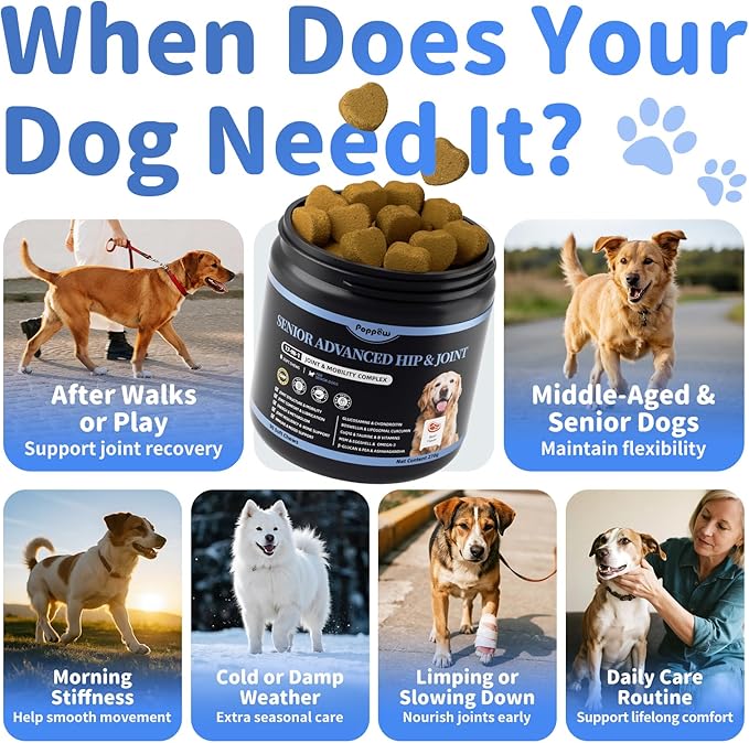 Senior Advanced Joint Supplement for Dogs – 17-in-1 Glucosamine for Dogs with Chondroitin – Hip & Joint Pain Relief Pills – Mobility Support Chews – Large & Small Breeds - Beef Flavor – 90Ct