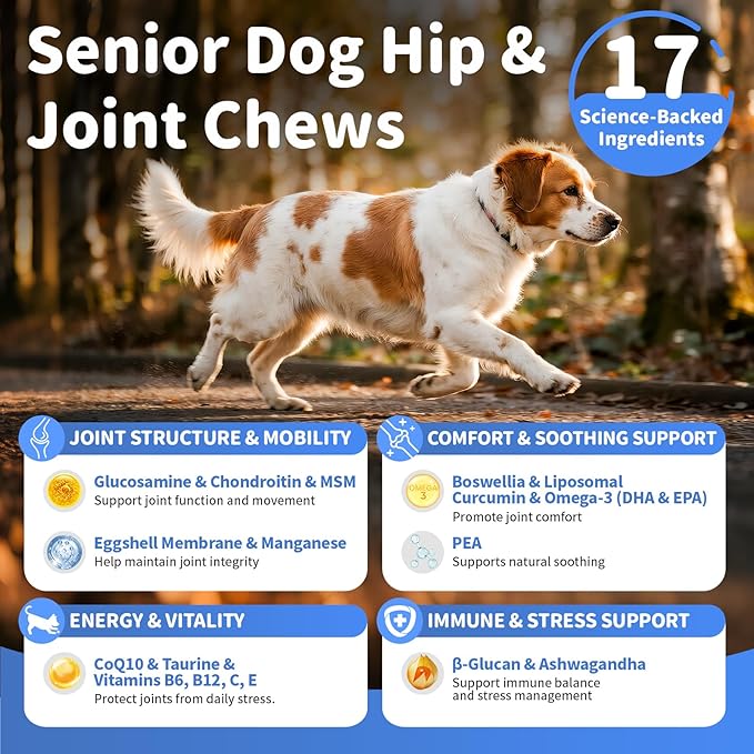 Senior Advanced Joint Supplement for Dogs – 17-in-1 Glucosamine for Dogs with Chondroitin – Hip & Joint Pain Relief Pills – Mobility Support Chews – Large & Small Breeds - Chicken Flavor – 90Ct