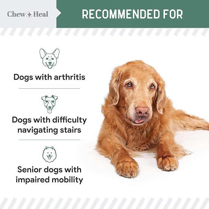 Glucosamine for Dogs Hip and Joint Supplement - 60 Senior Dogs Mobility Soft Chews - Made with Glucosamine, MSM, Chondroitin, Green Lipped Mussels and More - Made in The USA