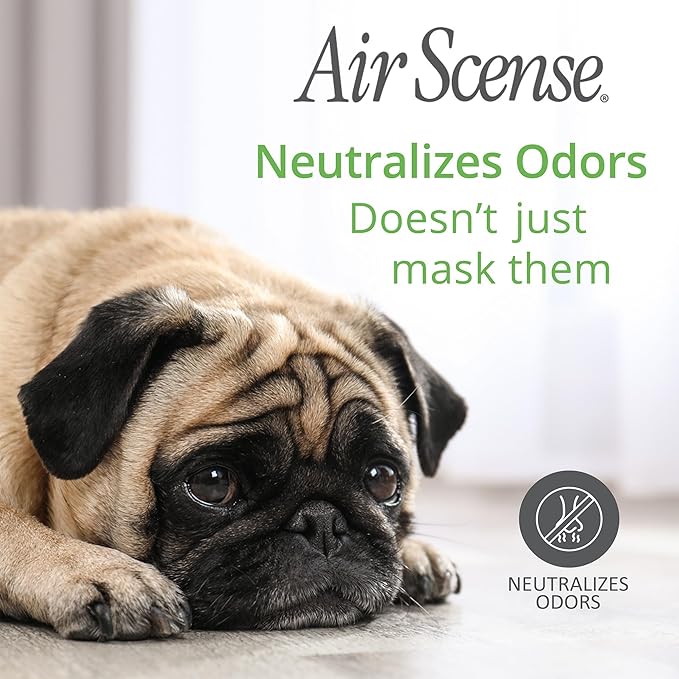 Air Scense Air Freshener Deodorizer Room Spray for Bathroom & Home, Essential Oils, Natural Orange - 7 fl oz (4-Pack)